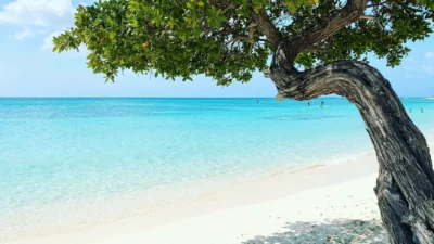 Aruba Captions Instagram